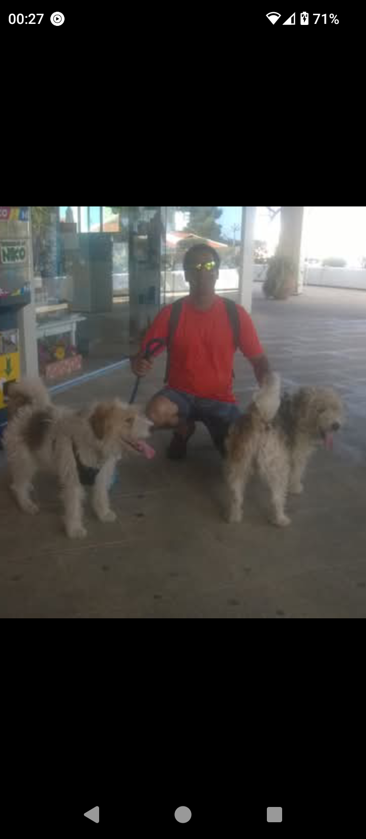Henrique dogwalker - Cascais - Promenade de chiens