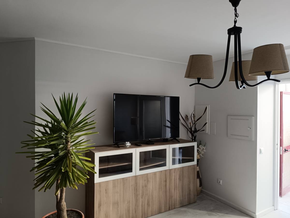 LR Solutions Lda - Vila Nova de Gaia - Kammerjäger