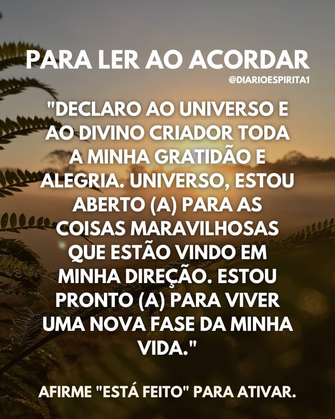 Gestora Ceida Filipe - Sintra - Hebrew Translation