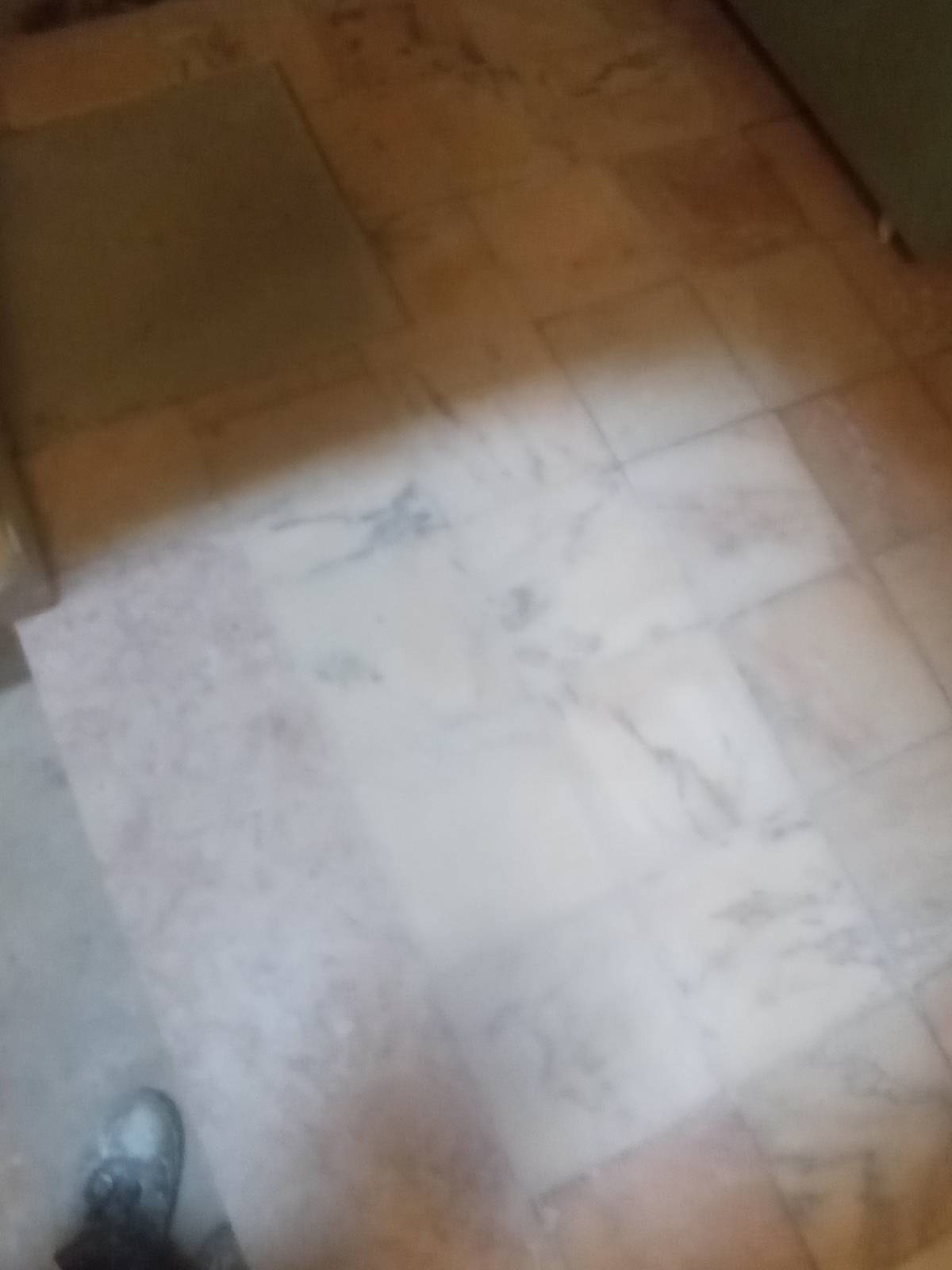 Isaias Matos - Oeiras - Drop Ceiling