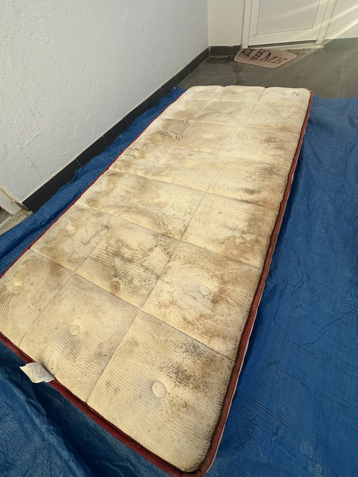 ImpactClean - Limpeza Profissional de Estofos e Tapetes - Barreiro - Limpeza de Propriedade