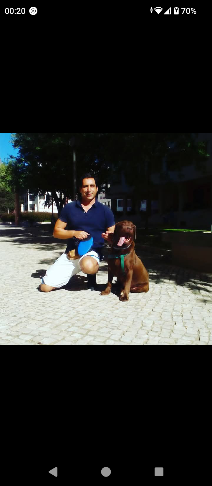 Henrique dogwalker - Cascais - Garde d'animaux