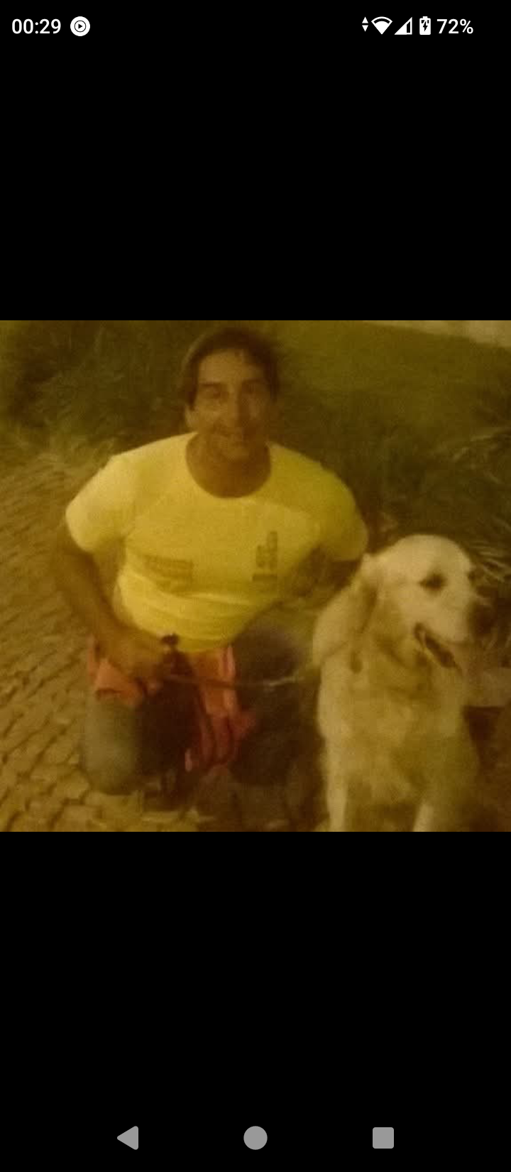 Henrique dogwalker - Cascais - Promenade de chiens