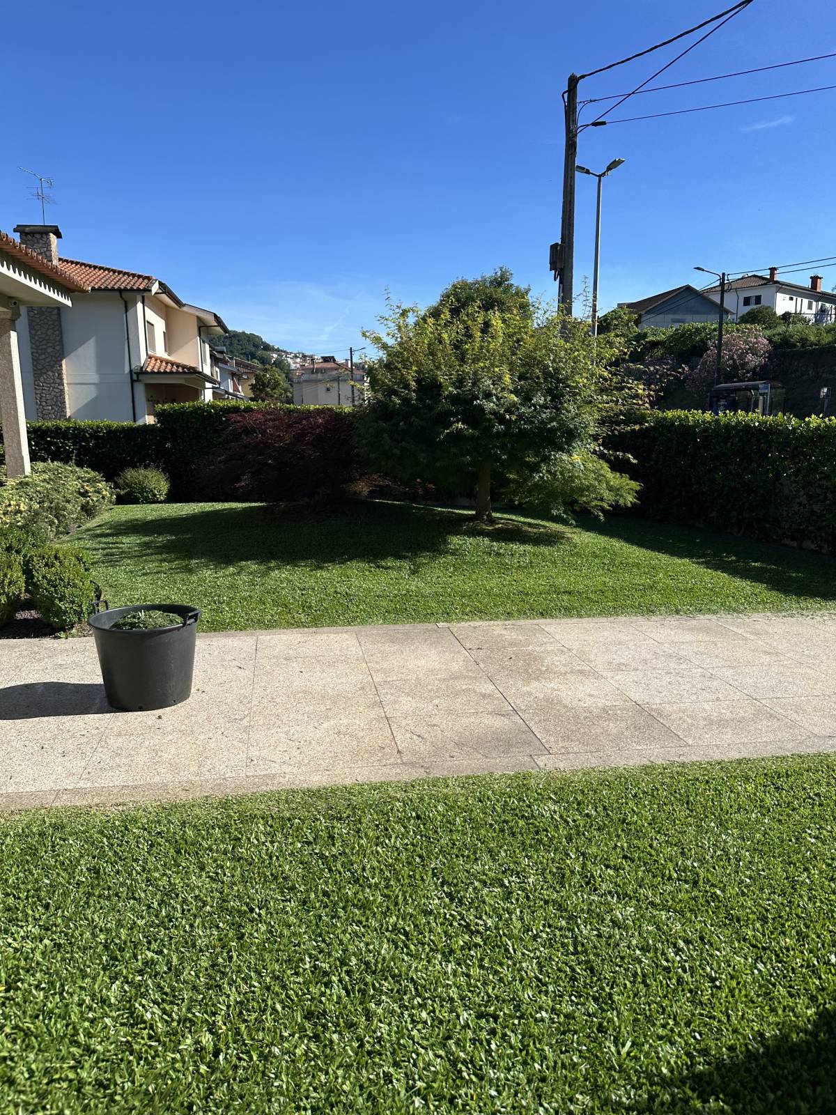 Carlosjardim - Braga - Land Clearance