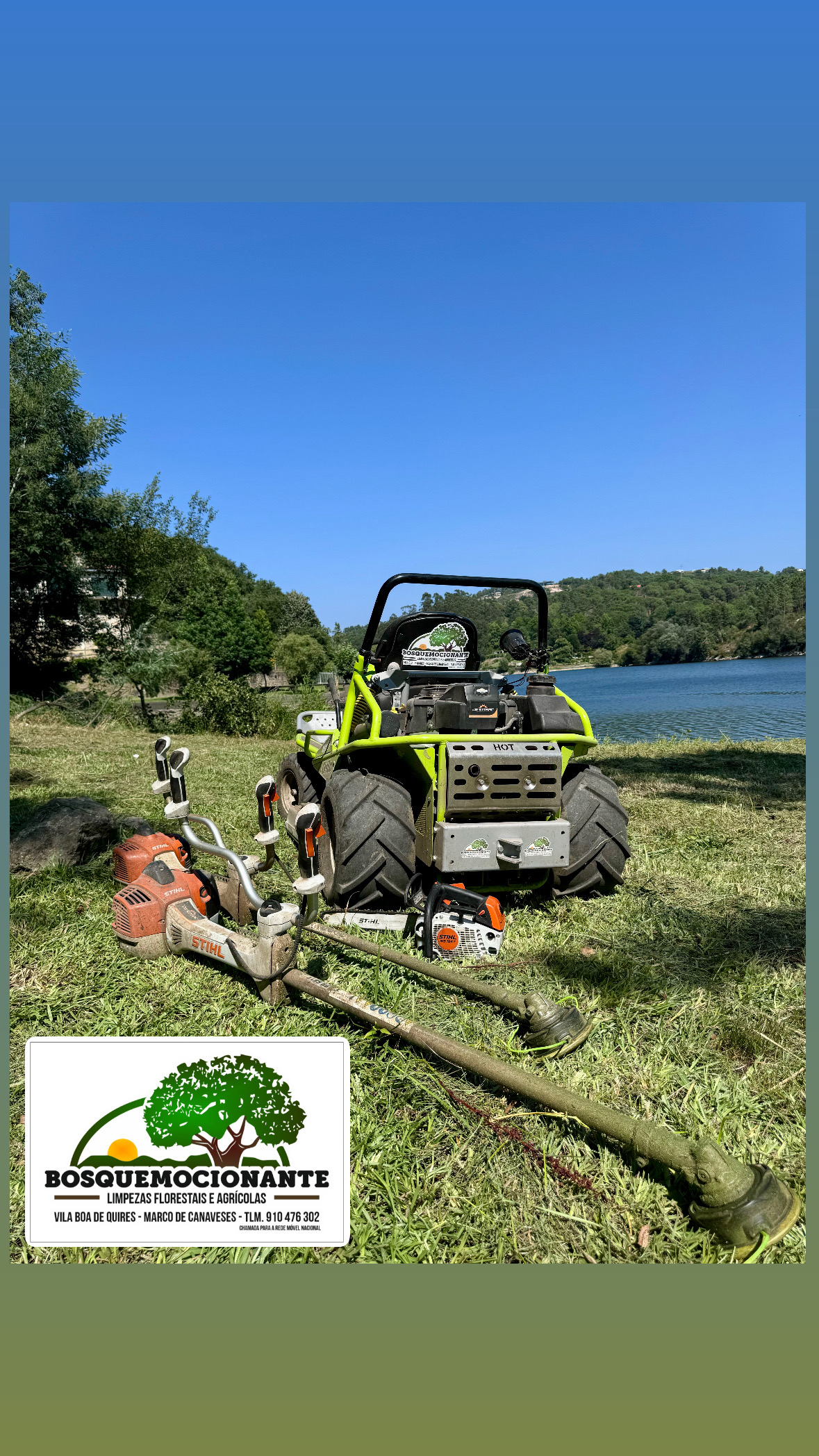 Bosquemocionante - Marco de Canaveses - Shrub Removal