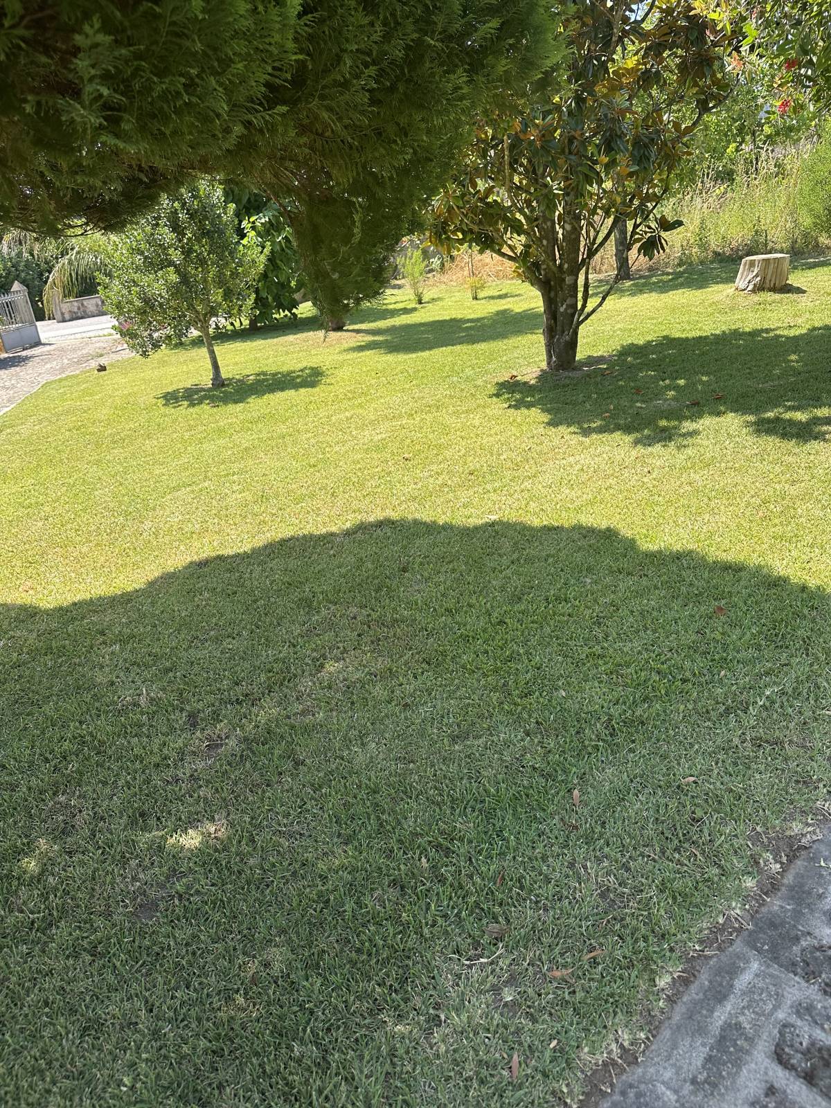 Carlosjardim - Braga - Gardening