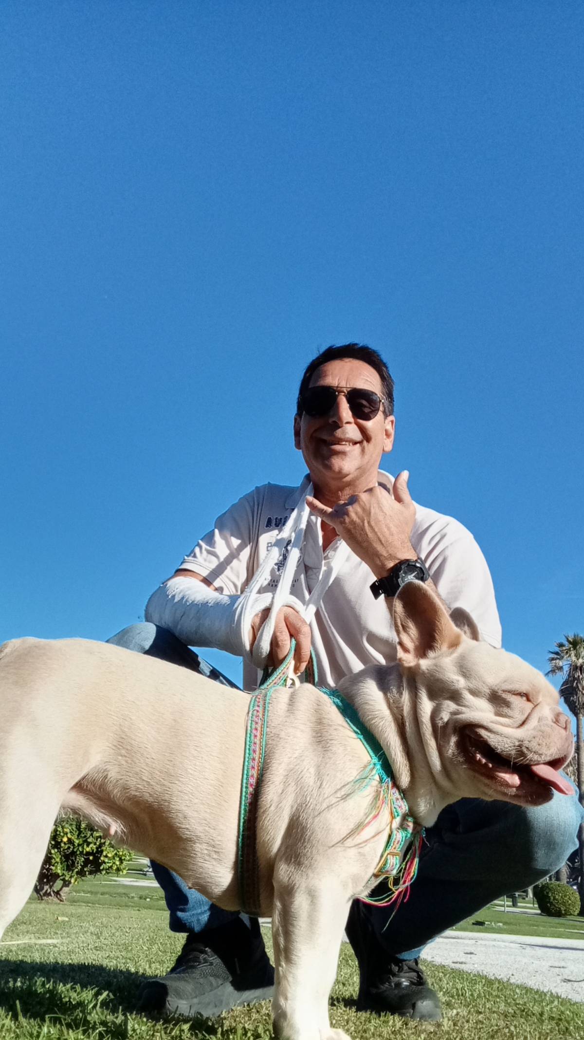 Henrique dogwalker - Cascais - Promenade de chiens
