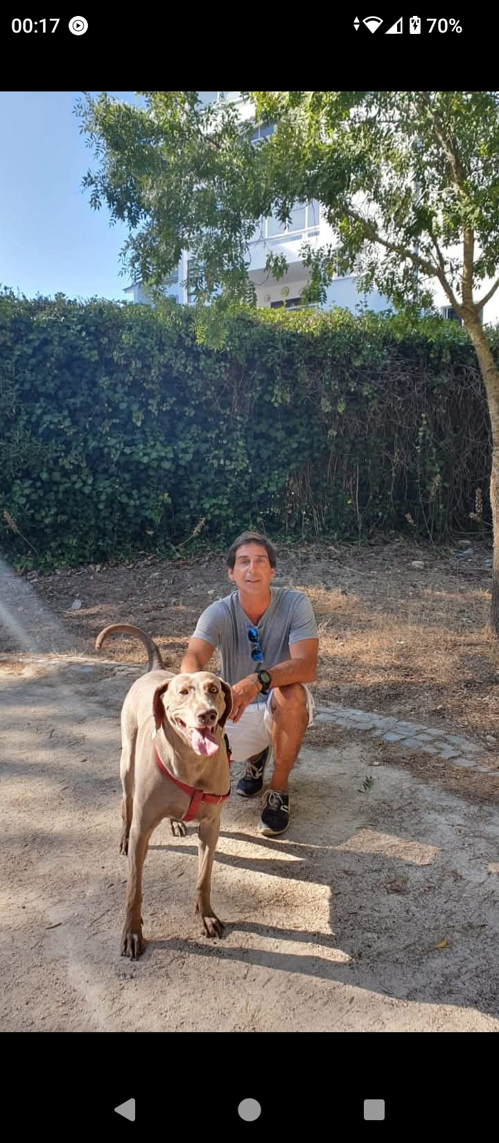 Henrique dogwalker - Cascais - Garde d'animaux