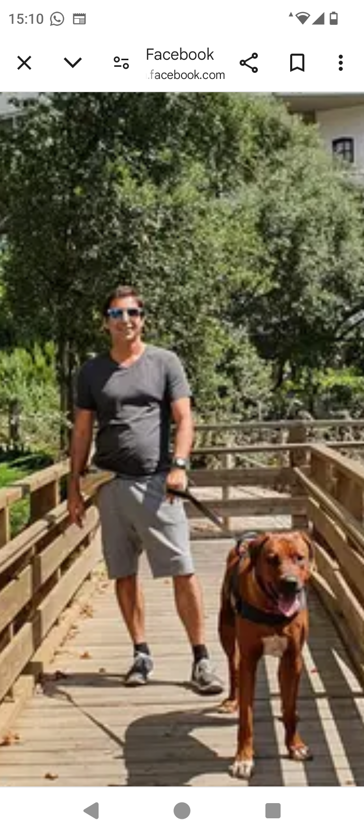 Henrique dogwalker - Cascais - Promenade de chiens