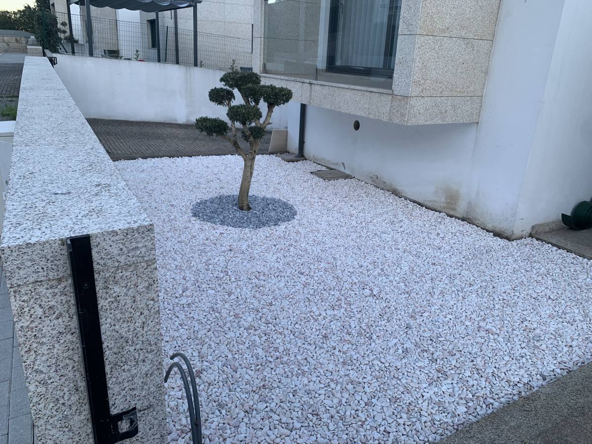 Carlosjardim - Braga - Tree Planting