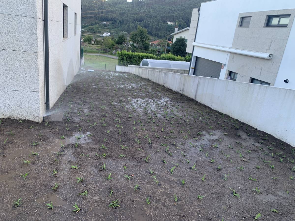 Carlosjardim - Braga - Shrub Removal