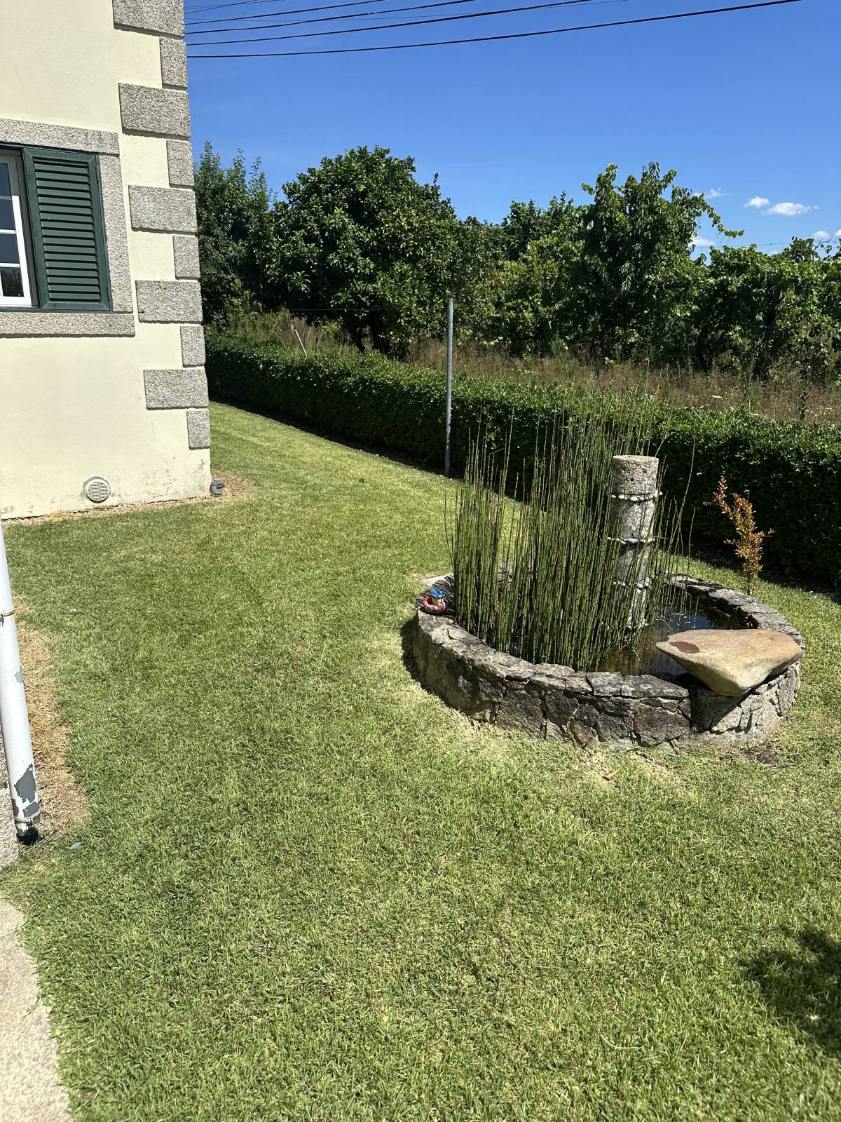Carlosjardim - Braga - Lawn Mowing and Trimming