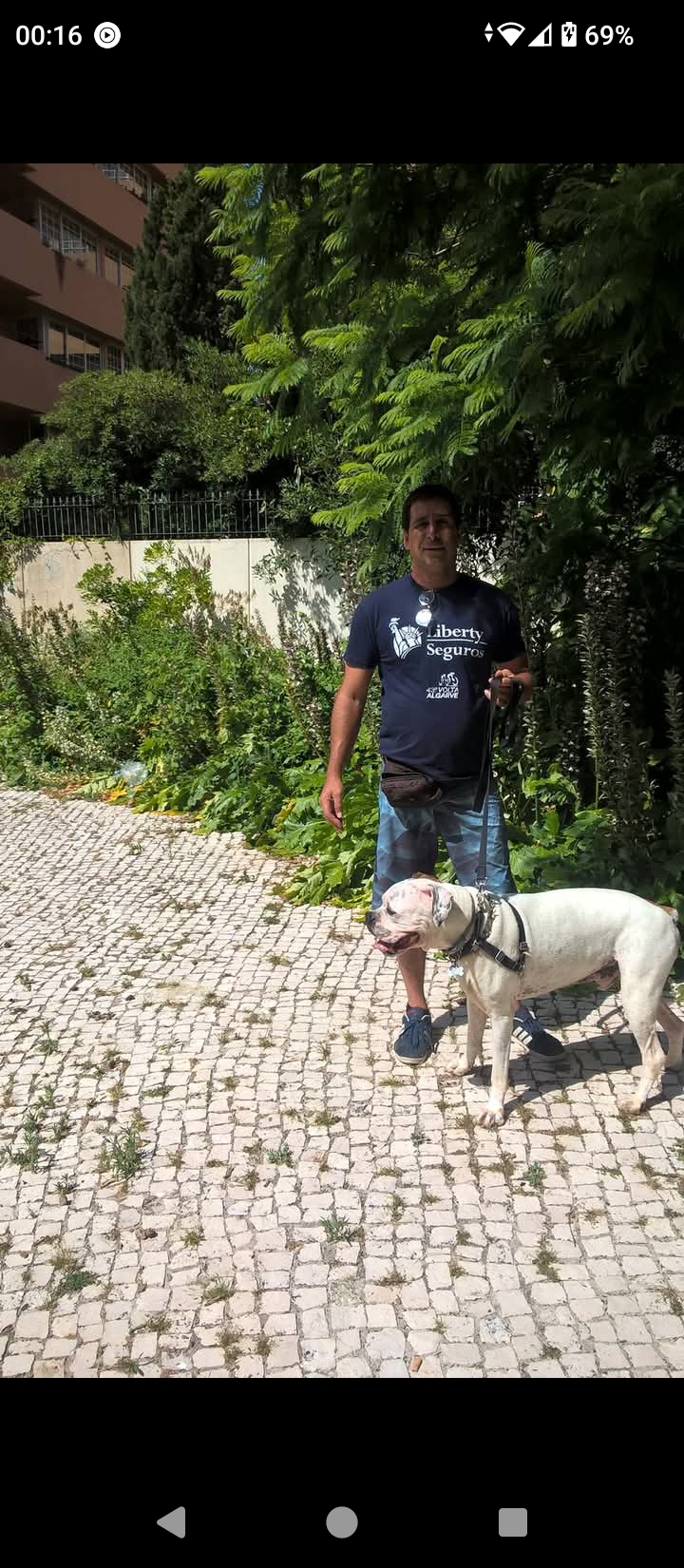Henrique dogwalker - Cascais - Garde d'animaux