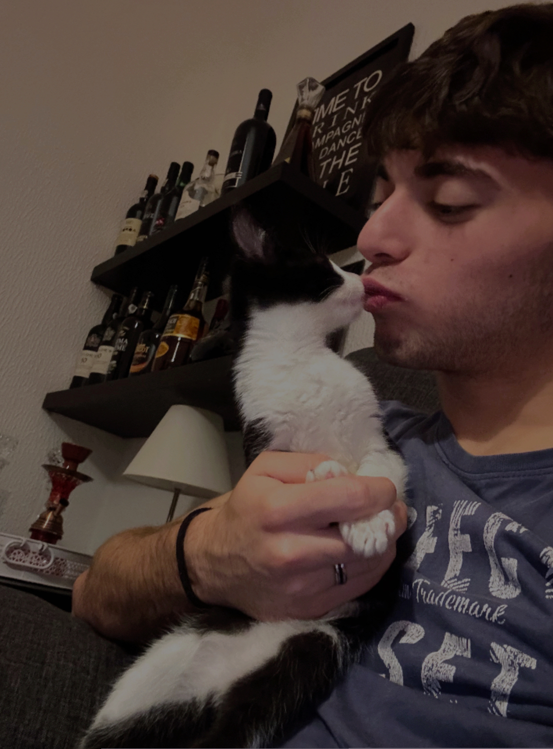 Tomás Sousa - Vila Nova de Gaia - Dog Sitting