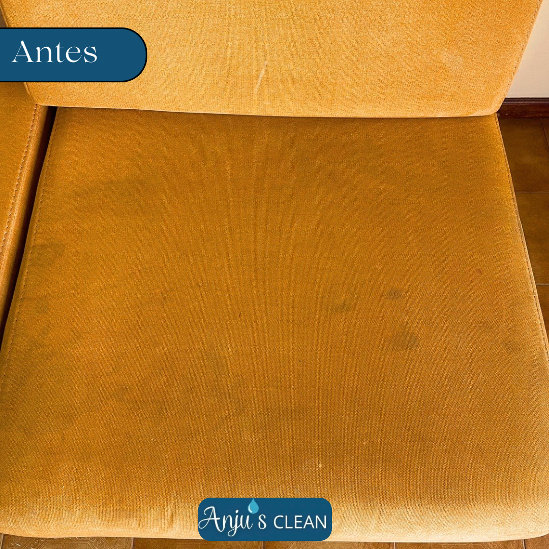 Anju’s Clean - Penafiel - Limpeza de Janelas