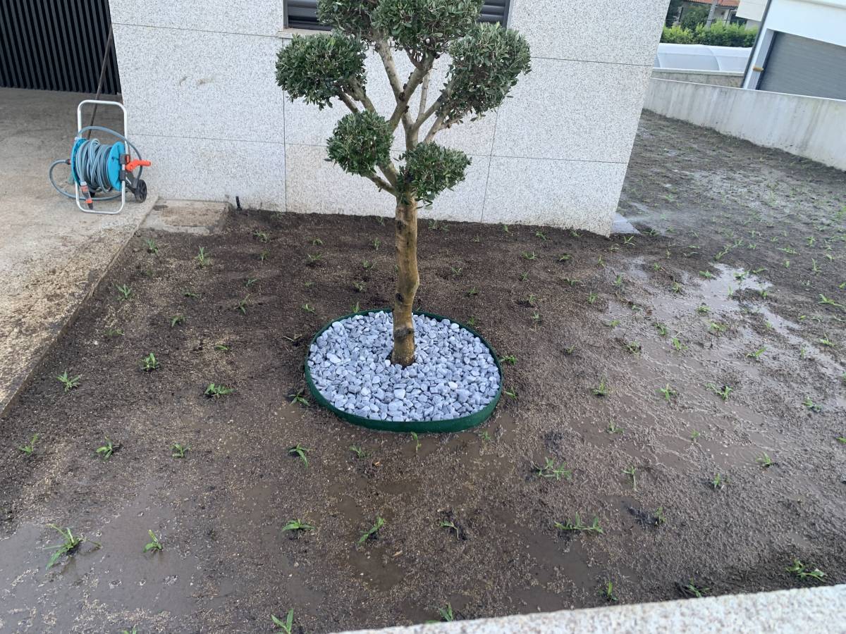 Carlosjardim - Braga - Multi Service Lawn Care