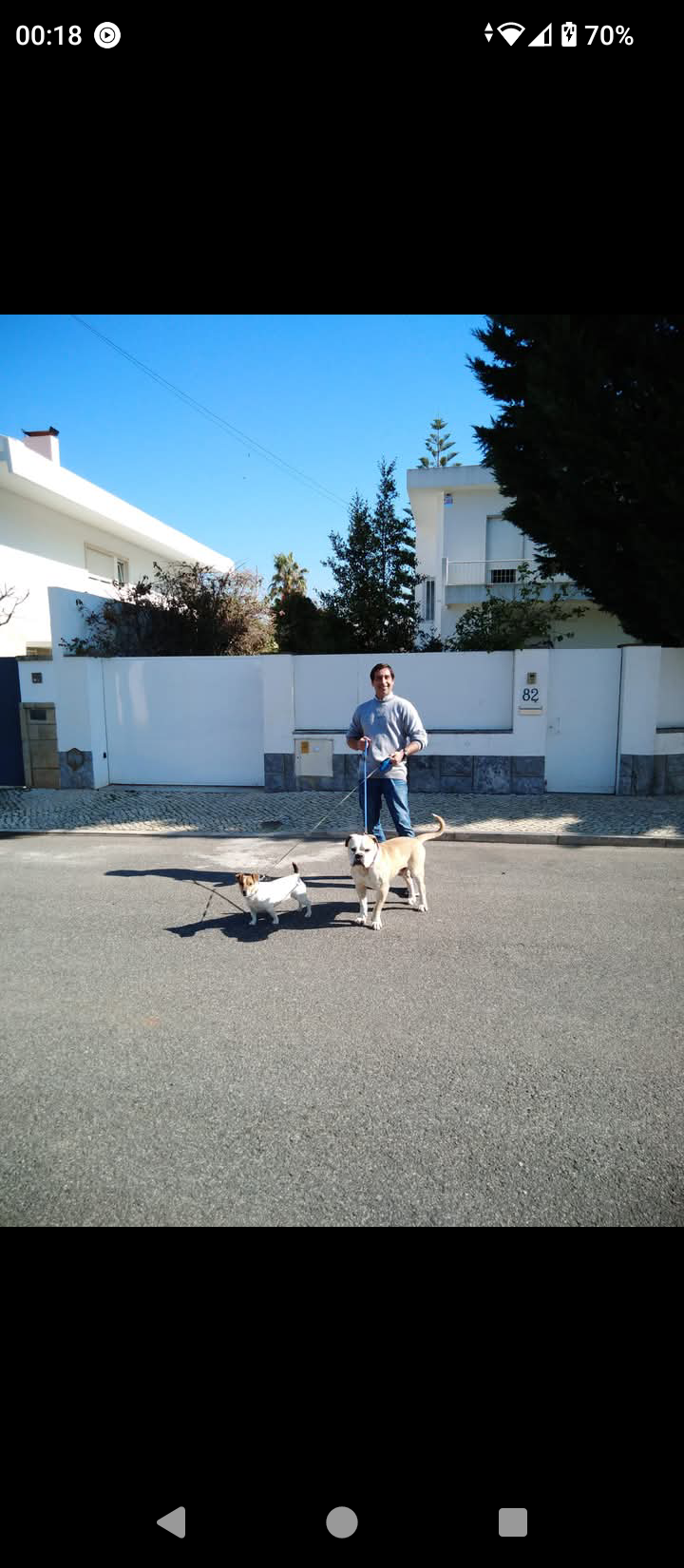 Henrique dogwalker - Cascais - Promenade de chiens