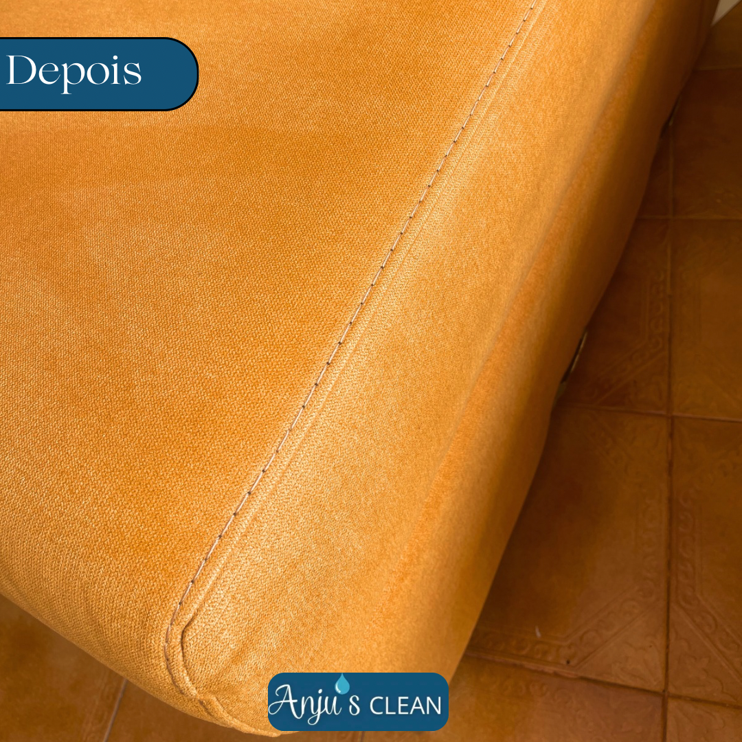 Anju’s Clean - Penafiel - Limpeza de Propriedade