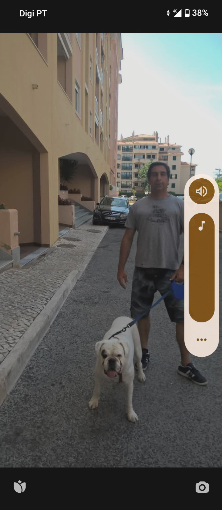 Henrique dogwalker - Cascais - Garde et promenade d’animaux