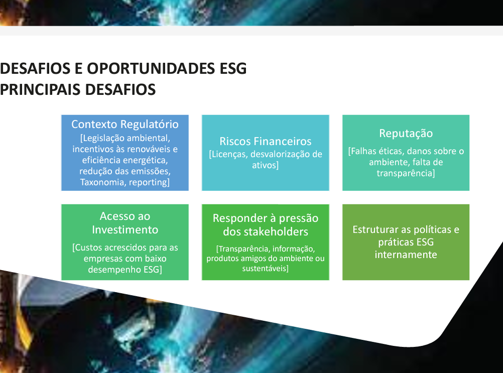 Silvia Pinto - Vila Nova de Gaia - Business Consulting