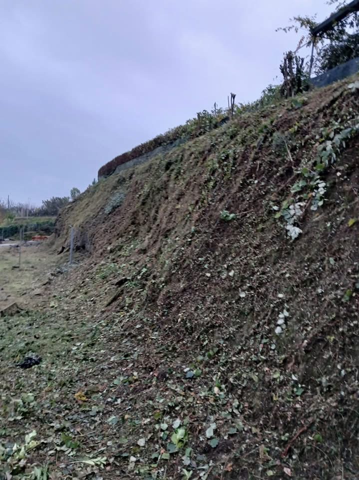 Bosquemocionante - Marco de Canaveses - Property Cleanup