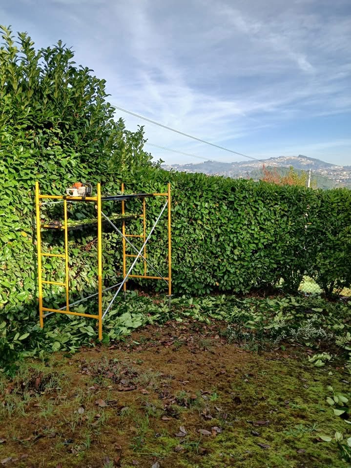 Bosquemocionante - Marco de Canaveses - Land Clearance