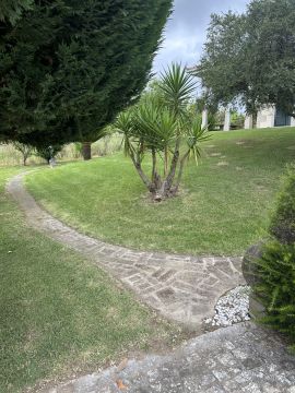 Carlosjardim - Braga - Lawncare