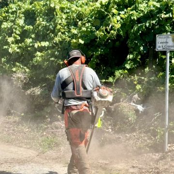 Bosquemocionante - Marco de Canaveses - Land Clearance