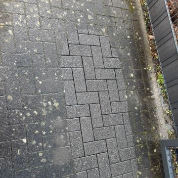 JPS roofing and cleaning - Lagoa - Gutter Cleaning and Maintenance