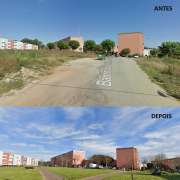 The Landscaper&I - Vila Nova de Gaia - Shrub Removal