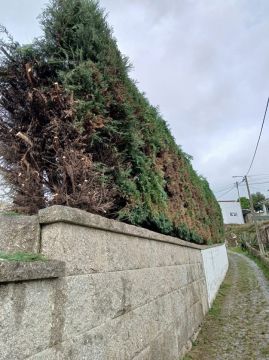 Bosquemocionante - Marco de Canaveses - Pressure Washing