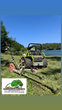 Bosquemocionante - Marco de Canaveses - Shrub Removal