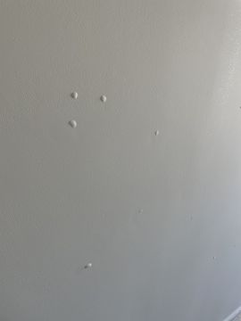 Interior Painter