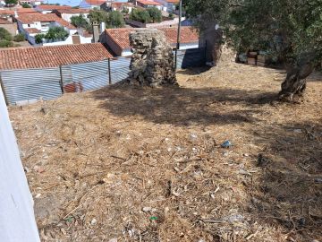 Jardinagem e Relvados