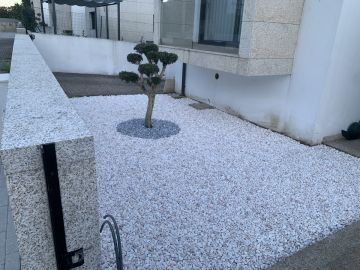 Carlosjardim - Braga - Tree Planting