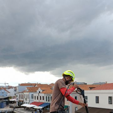 Arthur Labre - Coimbra - Tree Trimming and Maintenance