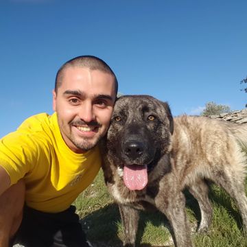 O Gonçalo Resolve - Porto de Mós - Poda e Manutenção de Árvores