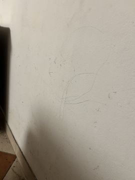 Pintura de Casas - Pintura