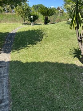 Carlosjardim - Braga - Tree Trimming and Maintenance