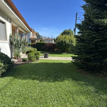 Carlosjardim - Braga - Tree Stump Grinding and Removal