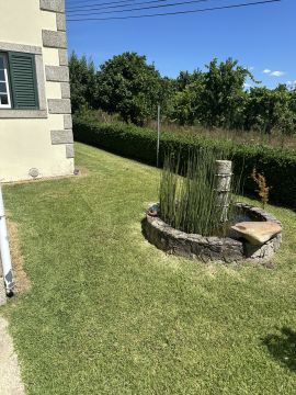 Carlosjardim - Braga - Lawn Mowing and Trimming