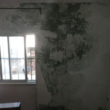 MP Artwall - Almada - Parkettsanierung