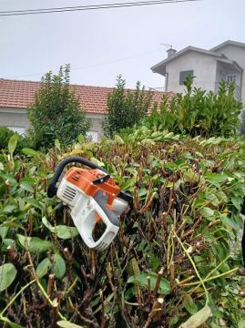 Bosquemocionante - Marco de Canaveses - Tree Planting