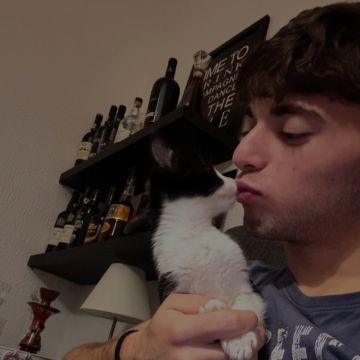 Tomás Sousa - Vila Nova de Gaia - Dog Sitting