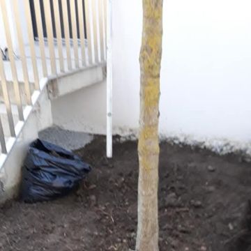 Real remodelações. - Almada - Remodelação da Casa