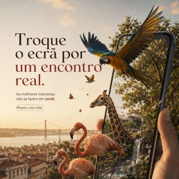 João Tavares - Sesimbra - Design de Impressão