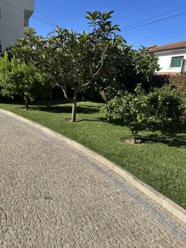 Carlosjardim - Braga - Multi Service Lawn Care
