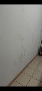 Pintura de Casas