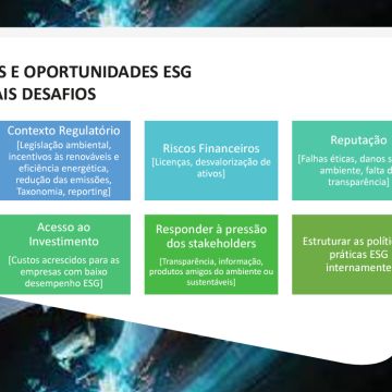 Silvia Pinto - Vila Nova de Gaia - Business Consulting