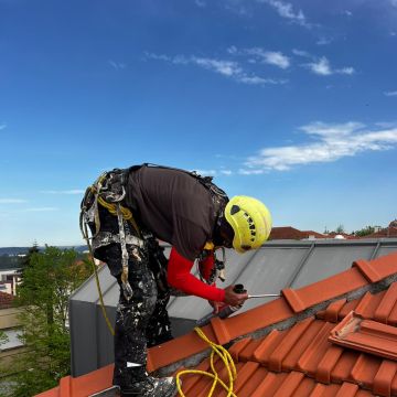 Arthur Labre - Coimbra - Tree Stump Grinding and Removal
